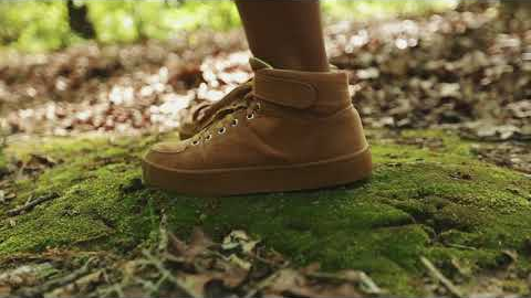 Scouts BSA – Hiking